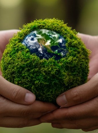 Advanced Postgraduate Diploma in Sustainability Leadership